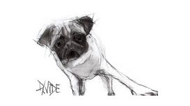 Davidson Fine Art Davidson Fine Art