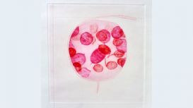 David Stacey Fine Art David Stacey Fine Art